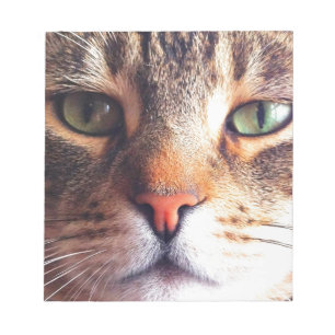 Katzen-Gesicht Notizblock