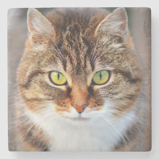 Katzen Gesicht Steinuntersetzer (Vorderseite)