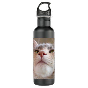 Katzen-Gesicht Trinkflasche