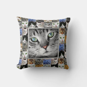 Katzen-Gesichter Collage Foto Vorlage Kissen