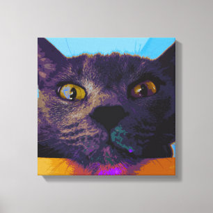 Katzen-Gesichts-Pop-Kunst-Leinwand-Druck Leinwanddruck