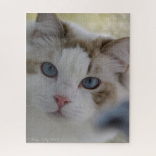 Katzen-Gesichts-Puzzlespiel Puzzle