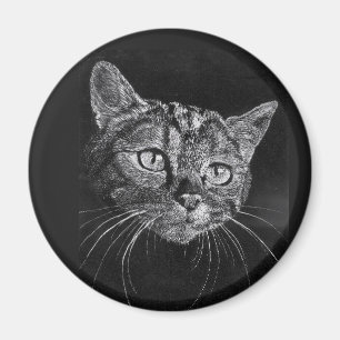Katzen-Gesichts-Zeichnen Magnet