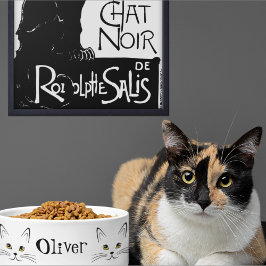 Katzen-Gesichtsname  Napf