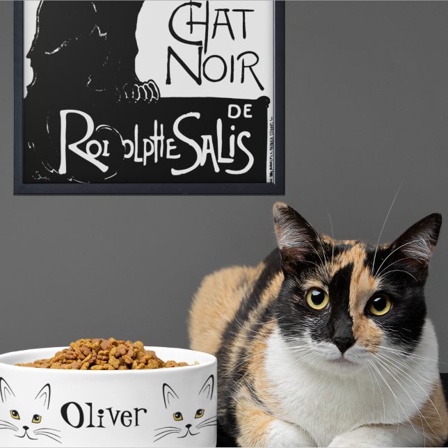 Katzen-Gesichtsname  Napf (Von Creator hochgeladen)