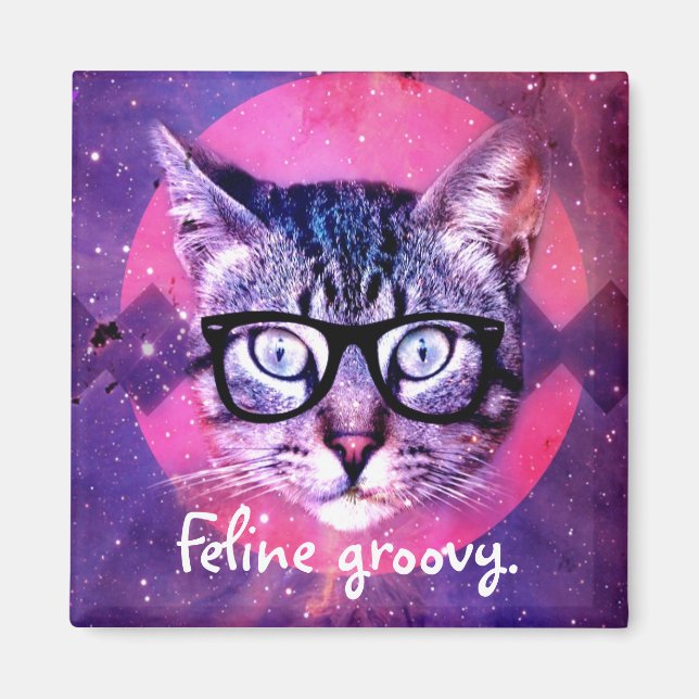 Katzen Groovy Katze Magnet (Vorne)