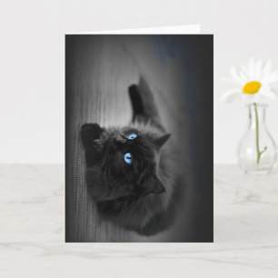 Katzen-Grußkarte mit Kunst im Stil Midnight Blue E Karte