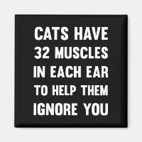 Katzen haben 32 Muskeln in jedem Ohr..| Funny Cats