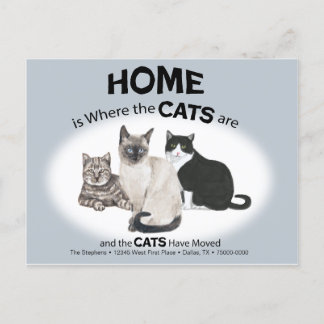 Katzen haben die Postkarte verschoben