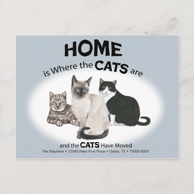Katzen haben die Postkarte verschoben (Vorderseite)