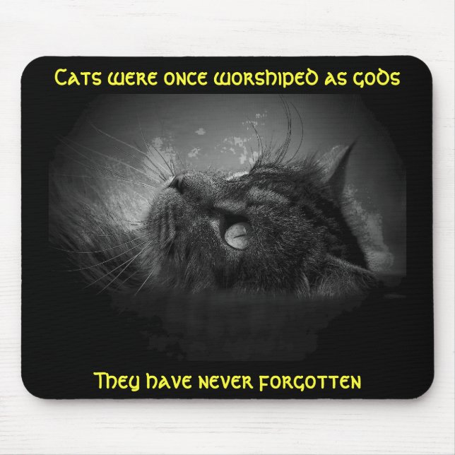 Katzen haben Meme nicht vergessen Mousepad (Vorne)