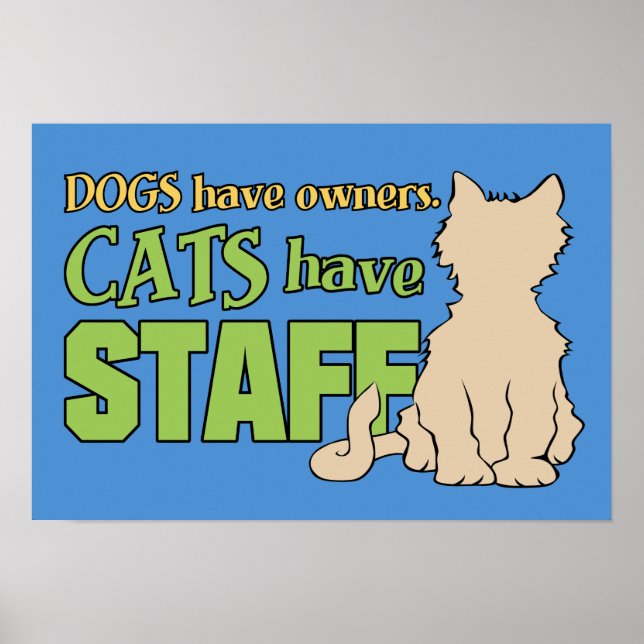 KATZEN HABEN personelles Plakat (Vorne)