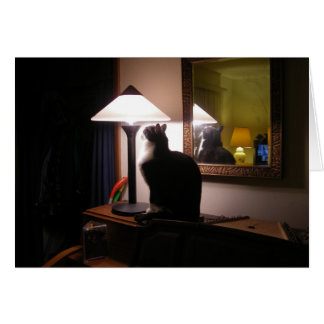 Katzen-helle Karte
