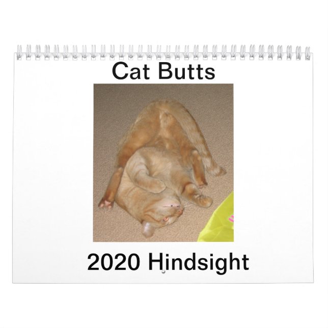 Katzen-Hintern 2020-Kalender Kalender (Titelbild)