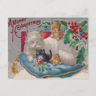 Katzen & Holly Postkarte