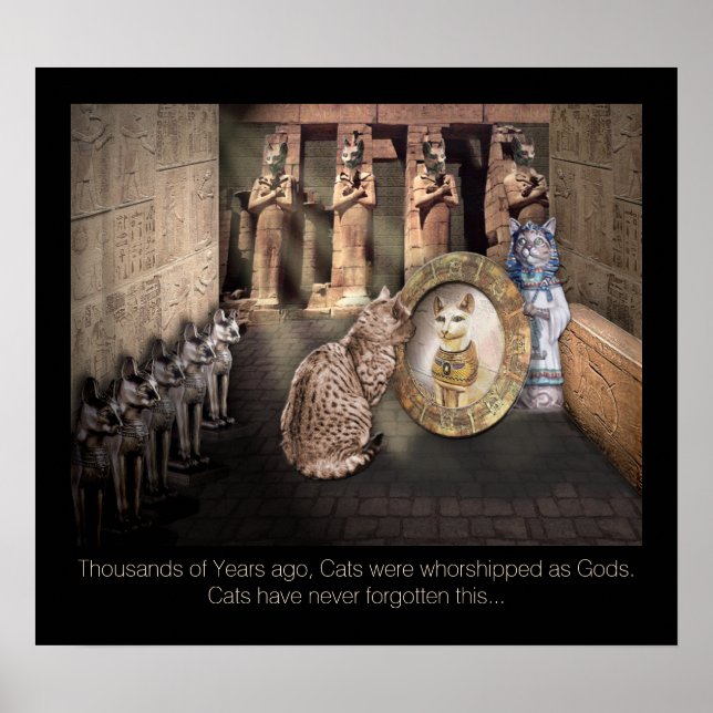 Katzen im alten Ägypten Poster (Vorne)