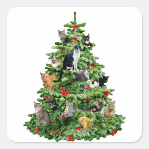 Katzen im Baum Quadratischer Aufkleber