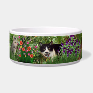 Katzen im Blumen-Garten-Foto-Collage Haustier Wass Napf
