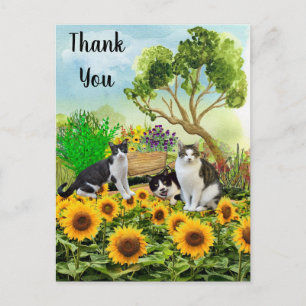 Katzen im Garten / Sonnenblumen Danke-Kollage Postkarte