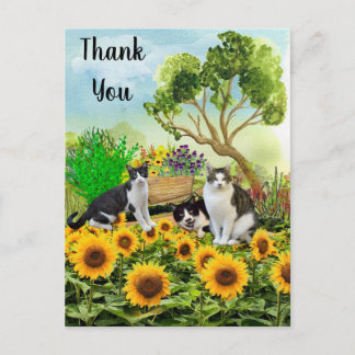 Katzen im Garten / Sonnenblumen Danke-Kollage Postkarte
