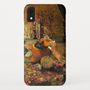 Katzen im Herbst 😸 Case-Mate iPhone Hülle