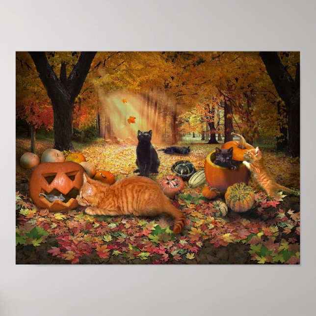 Katzen im Herbst Poster (Vorne)