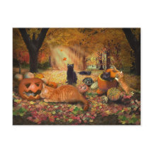 Katzen im Herbst