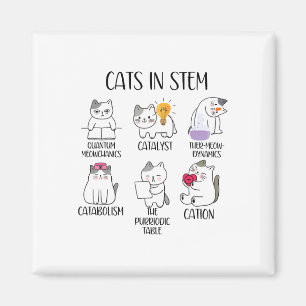 Katzen im MINT-Bereich lustiges Wissenschafts-Meme Magnet