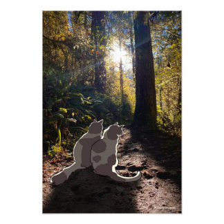 Katzen im Oregon-Wald Fotodruck