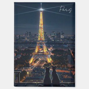 Katzen im Pariser Eiffelturm bei Nacht Magnet
