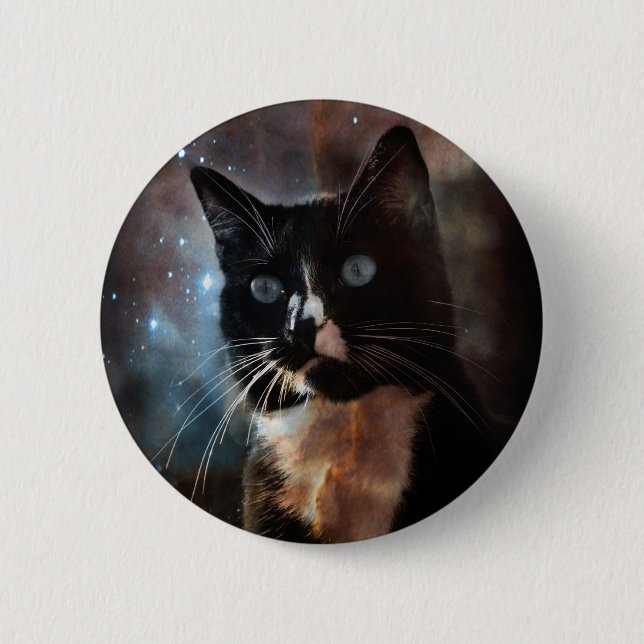 Katzen im Raum Button (Vorderseite)
