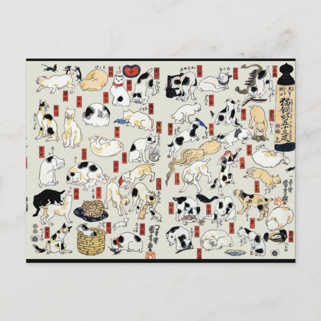 Katzen im Überfluss Postkarte (Vorderseite)