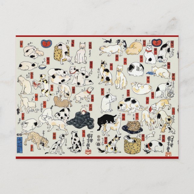 Katzen im Überfluss Postkarte (Vorderseite)
