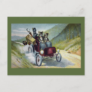 Katzen im Urlaub in den Catskills Postkarte