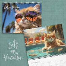 Katzen im Urlaub