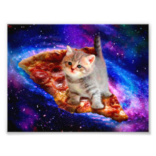 Katzen im Weltraumpizza Fotodruck