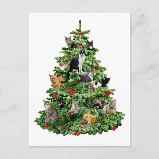 Katzen in Bäumen Postkarte (Vorderseite)