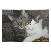 Katzen in der Liebe