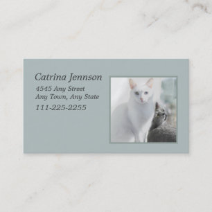Katzen in der "Sunny Window Business Card" Visitenkarte