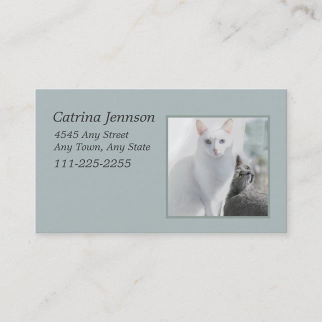 Katzen in der "Sunny Window Business Card" Visitenkarte (Vorderseite)