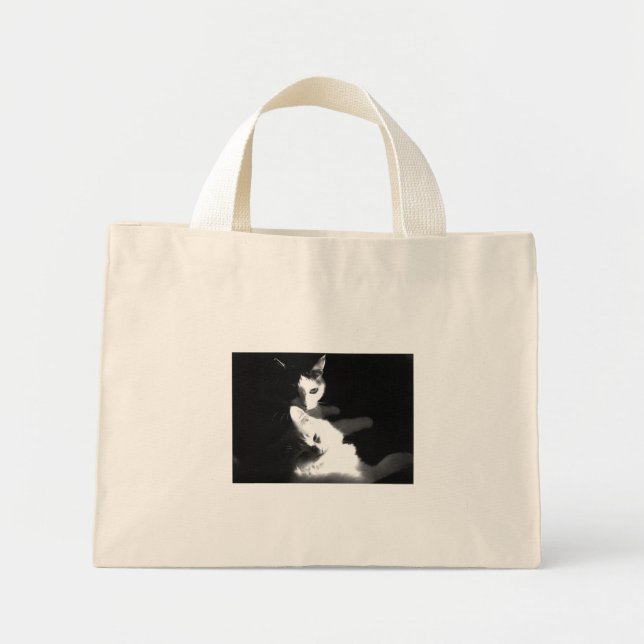 Katzen in der Tasche (Vorne)