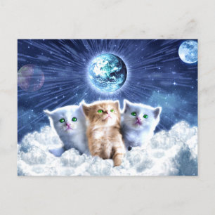 Katzen in der Wolke Postkarte