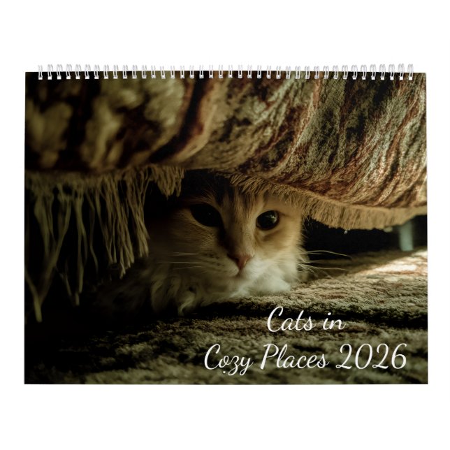 Katzen in gemütlichen Orten 2026 Kalender (Titelbild)