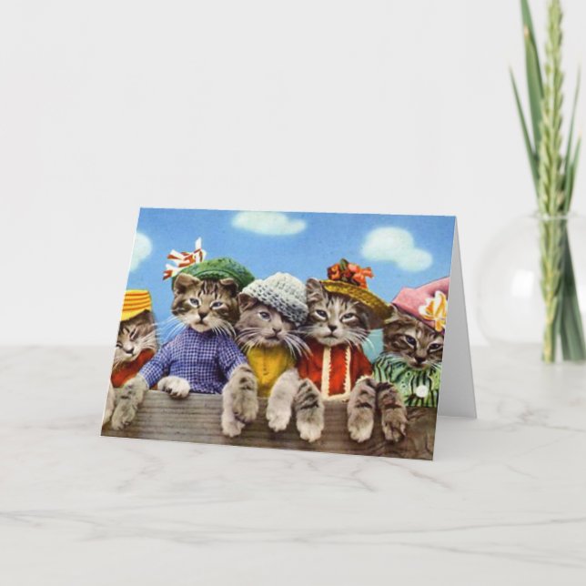 Katzen in Hennen Karte (Vorderseite)