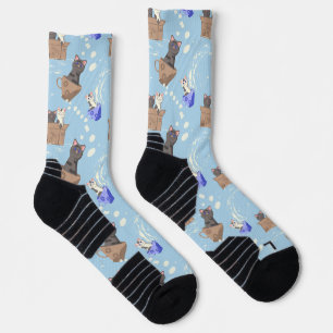 Katzen in Kiste und Milchfallen auf blau Socken