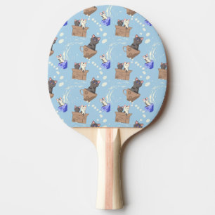 Katzen in Kiste und Milchfallen auf blau Tischtennis Schläger