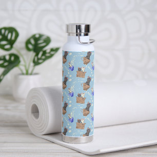 Katzen in Kiste und Milchfallen auf blau Trinkflasche