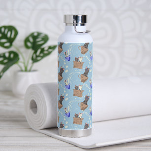 Katzen in Kiste und Milchfallen auf blau Trinkflasche