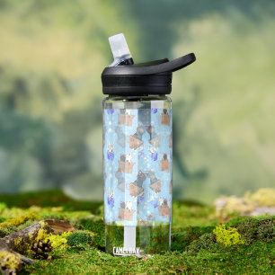 Katzen in Kiste und Milchfallen auf blau Trinkflasche