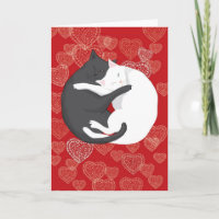 Katzen in Liebe: Paulie & Angie...